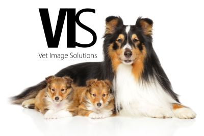 Scanpad Lite with microconvex probe and One-to-one training