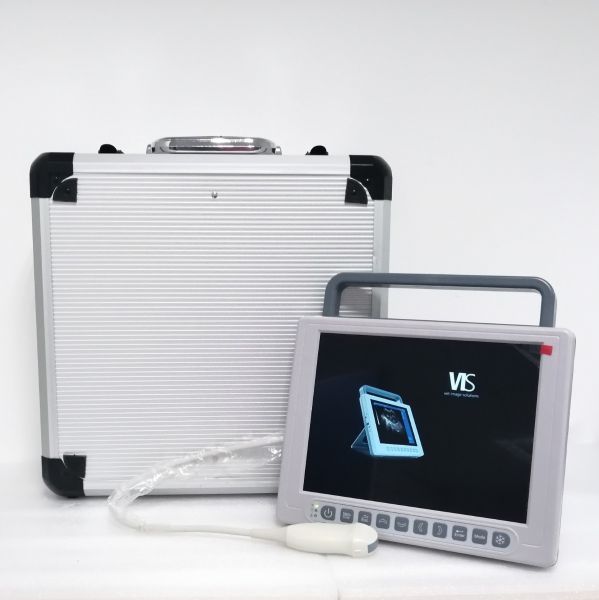 VIS supplied VIStec K9 leader in dog breeder ultrasound