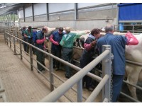100% PASS RATE AT THIS MONTH'S CATTLE COURSE