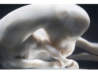 EQUINE PREGNANCY – HOW CAN IMMUNOLOGY HELP?