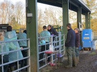 NEXT CATTLE SCAN TRAINING COURSE BOOKED FOR 2ND - 5TH NOVEMBER 2015