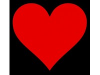 ANOTHER REASON TO ‘LOVE’ VETERINARY ULTRASOUND