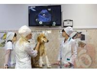 DRAMINSKI IS ULTRASOUND PROVIDER OF CHOICE FOR MAJOR RUSSIAN AGRICULTURAL UNIVERSITY