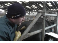 LEADING CATTLE VET BACKS NEW DRAMINSKI ISCAN