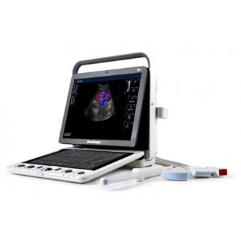 ULTRASOUND IMAGING AND EQUINE FAT TISSUE