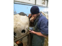 THE NEED FOR ULTRASOUND ON THE FARM