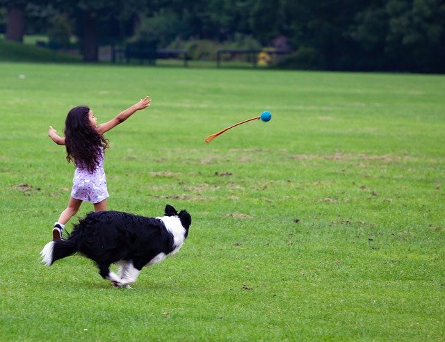 The importance of pets for mental health
