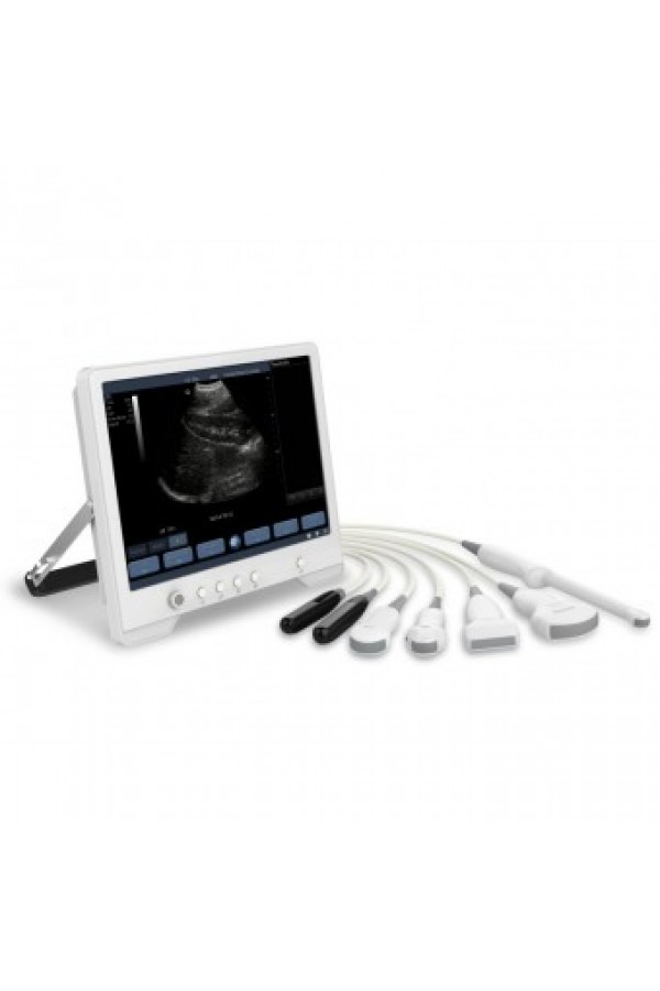 ULTRASOUND AND GOATS - A MATCH MADE IN HEAVEN?